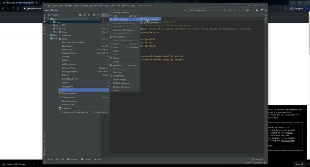 How to Install Intellij IDEA 7