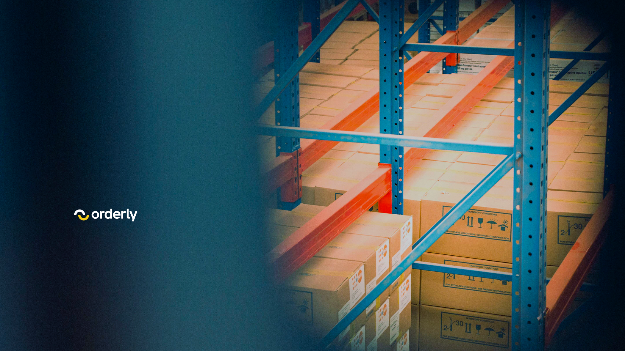 Quick QA Team Scaling for Supply Chain Software Company