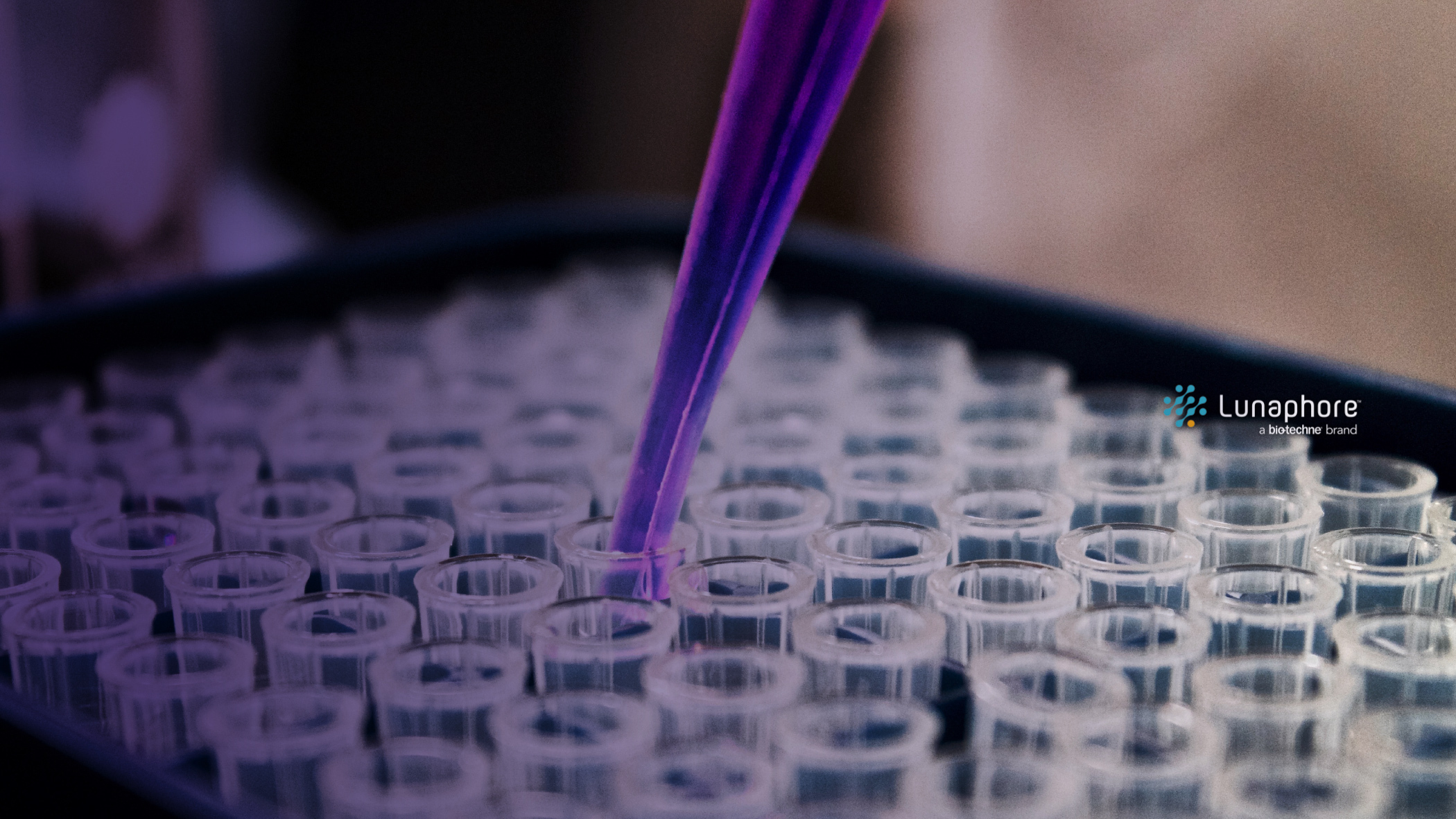 Testing Process Setup for the Cancer Research Software